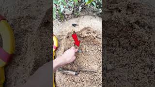 🔍 Metal Detector Finds Hidden Gem – Watch This Incredible Discovery [upl. by Asiar]