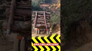 Truck overloading wood​ downhill truck excavator heavyequipment [upl. by Kele]