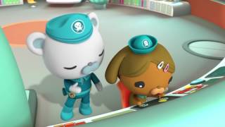 Octonauts and the Long armed Squid Full Episode [upl. by Hersh]