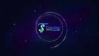 Meet  Team Triazine  Triazine Software Private Limited [upl. by Freddi]