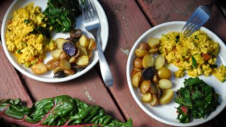 Worlds Best Vegan Tofu Scramble [upl. by Lontson938]