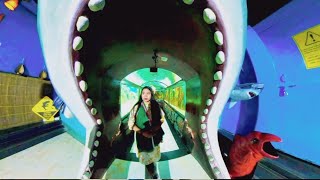 Radiant Fish world coxs bazar গিয়ে কি কি দেখলাম shortvideo lizasdailyvlog4589 [upl. by Wylie]