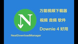 下载神器NeatDownloadManager [upl. by Alair]