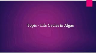 Life Cycles in Algae  Different types  Hindi [upl. by Kcirdled]