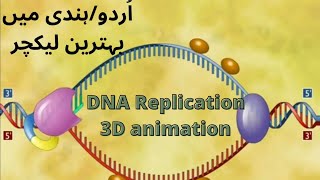 DNA Replication3D animation [upl. by Shirlee]