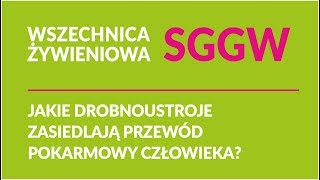 Jakie drobnoustroje zasiedlają przewód pokarmowy człowieka [upl. by Anatol]