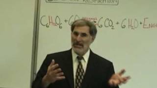 Professor Fink explains CELLULAR RESPIRATION Part 1 ATP NAD [upl. by Nit]