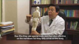 Acupuncture for Colds and FlusDr Decheng Chenwmv [upl. by Ytoc]