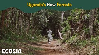 Uganda’s New Forests  Ecosia [upl. by Eran]