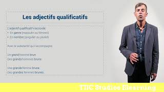 4 Adjectifs qualificatifs [upl. by Enoid]