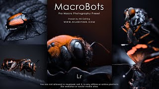 Pro Macro photography preset download  Premium lightroom presets free download [upl. by Nomyar467]