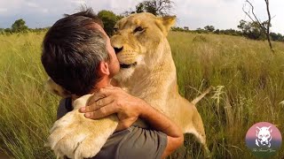 Lion Reunited with Owner After Years [upl. by Corson]