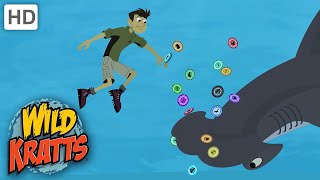 Wild Kratts  Kratts Find A Hammerhead SHARKS [upl. by Candra]