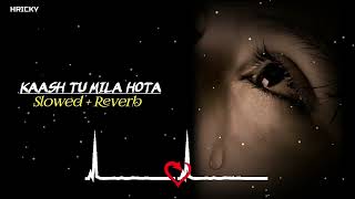 Kaash Tu Mila Hota  Slowed  Reverb  Trending Lofi Song  Jubin Nautiyal  RH LOFI [upl. by Alvinia]