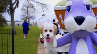 Mardi Paws 2017 Under The Big Top by Derek Wohltmann [upl. by Mota]