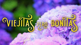 LAS MEJORES 50 BALADAS DEL RECUERDO EN INSTRUMENTAL PIANO ROMANTICO Y MELODIAS [upl. by Siravart]