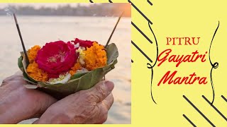 PITRU GAYATRI MANTRA WITH LYRICS  पितृ गायत्री मंत्र  GET RID OF PITRU DOSH  11 Chants [upl. by Duarte597]