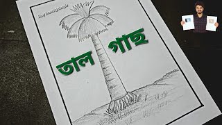 Tal Gas Drawing  Palm Tree Drawing  Easy Drawing Bangla Tutorial [upl. by Carma916]