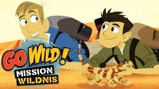 Go Wild Mission Wildnis  Ein Koala in der Wüste Trailer  Folge 7 [upl. by Craven496]