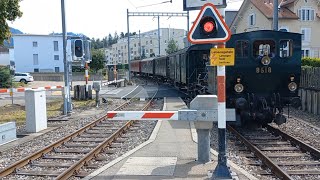 Bahnübergang Hinwil CH  Swiss Railroad Crossing [upl. by Yenahpets138]