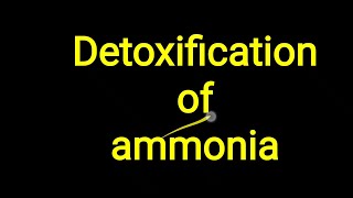 Ammonia Detoxification [upl. by Dimitry]