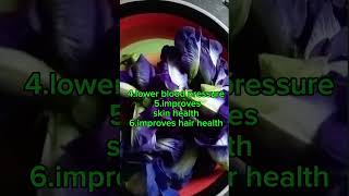 Clitoria Ternatea known as blueternate highlights shortsvideo goodforourhealth [upl. by Sitoiganap177]