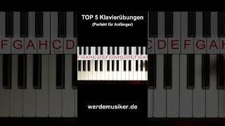 Die TOP 5 Klavierübungen für Anfänger  Teil 3 [upl. by Henarat234]