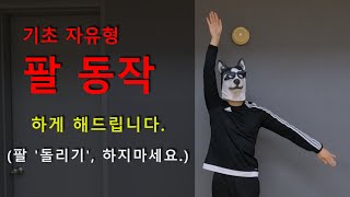 Beginner Step 제 4장 팔 동작 그만 밑장빼기냐 [upl. by Egwin]