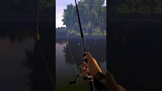 Catching evry NA freshwtr fish in FP Bluegill [upl. by Lemmuela853]