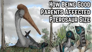 How Being Good Parents Affected Pterosaur Size [upl. by Sivart]