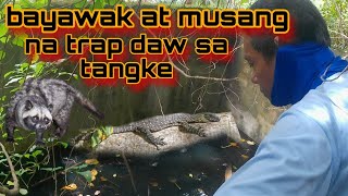 MY NA TRAP DAW NA MUSANG AT BAYAWAK SA LUMANG TANGKE TARA AT SILIPIN NATIN [upl. by Avra]