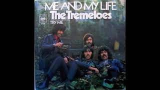 The Tremeloes – Me And My Life instrumental loop Pop Rock [upl. by Anaj]