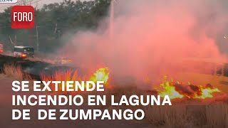 Incendio en Zumpango Enorme línea de fuego se extiende  Las Noticias [upl. by Nimrac110]