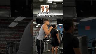 How To Target All Tricep Heads [upl. by Zacherie]