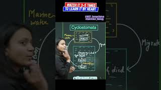 Life Cycle Of Cyclostomata  QuickShot Biology  neetpreparationneetbiologyncertmedicalentrance [upl. by Adila919]