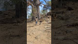 Hadzabe tribe men finding food in the bush with dogs ‼️😜 [upl. by Eselahs833]