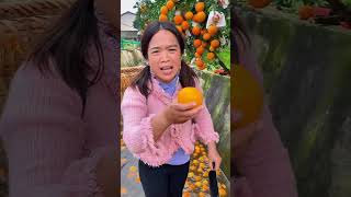 ¡Así Se Cosechan Naranjas en Asia Directamente en Canales de Agua🍊🌊 shorts [upl. by Evoy]