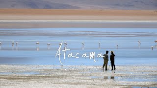 Atacama  Les flamants du Salar Chalviri [upl. by Harmon219]