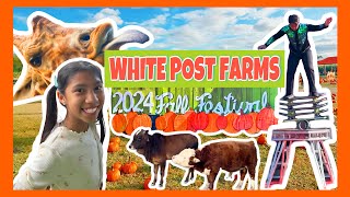 WHITE POST FARMS FALL FESTIVAL 2024 [upl. by Nahrut]