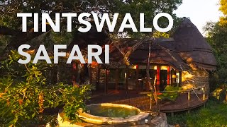 Tintswalo Safari Lodge  Kruger Park  South Africa [upl. by Siramed]