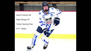 2024 USHL Combine  David Fridman 8 Hockey Highlights [upl. by Docilu]