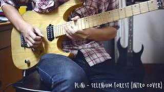 Plini  Selenium Forest Intro Cover  Demo SX SEG1 [upl. by Jabe]