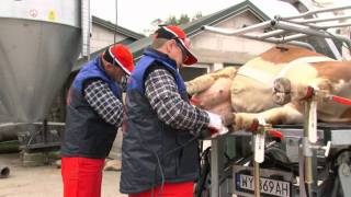 KOREKCJA RACIC w Całej Polsce Agro Test Marek Galiczak [upl. by Odo]