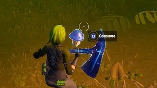 Consume Foraged Items Locations Guide – Fortnite Chapter 2 Hide and Seek Challenge [upl. by Inamik]