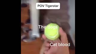 Tigerstar be like in TPB warriorcats warriors warriorcatsmeme [upl. by Inol]