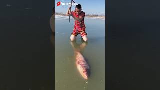 अपनी जान जोखिम में डाल कर ये काम करता है 😱  Ice Fish 🐠  shortsvideo [upl. by Coriss]