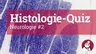 DocCheck HistologieQuiz Neurologie 2 [upl. by Bergeron]