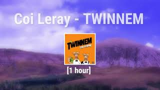 1 hour Coi Leray  TWINNEM [upl. by Einalam296]