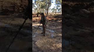 Gold Prospecting Wedderburn Victoria part 1 Episode 45 [upl. by Norman]