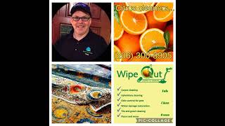 Wipe Out Carpet amp Upholstery wipeoutcarpetnet [upl. by Oiracam]